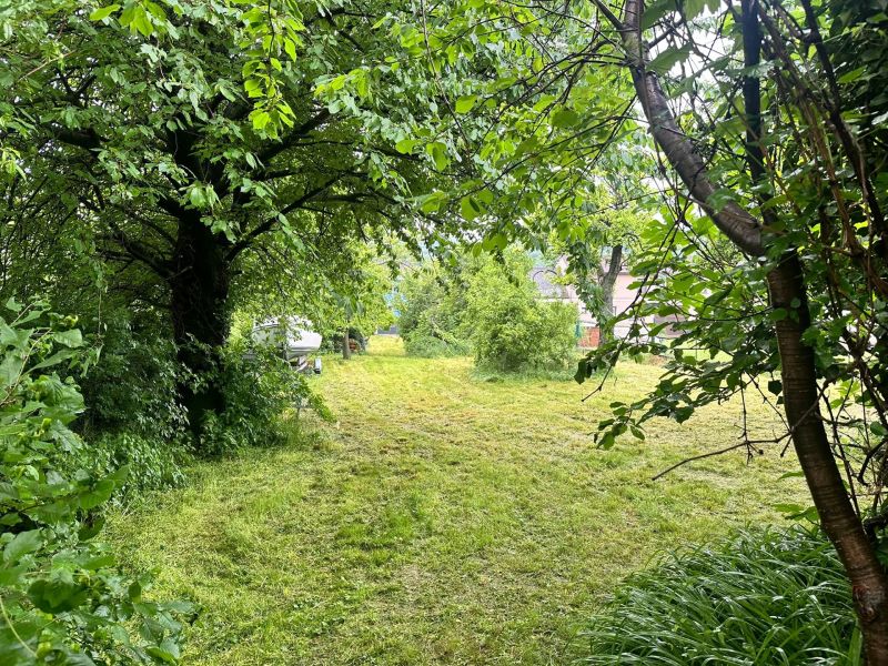 Grundstck mit Altbestand /  / 2413 Edelstal / Bild 5