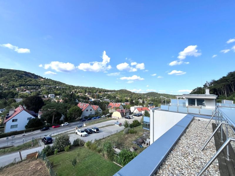Luxurises Dachgescho-Paradies in Hinterbrhl, 130m Garten und 100m Dachterasse /  / 2371 Hinterbrhl / Bild 0