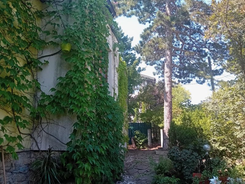 Natur pur , tolles Haus /  / 2345&nbsp;Brunn am Gebirge / Bild 7