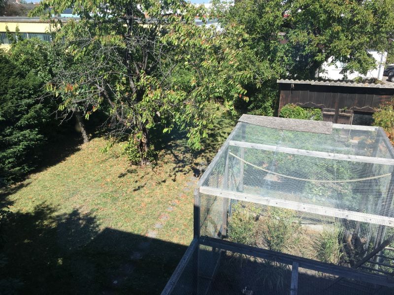 BAUTRGER AUFGEPASST!!! /  / 2331 Vsendorf / Bild 6