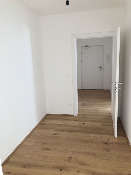 Grozgiges Wohnen mit 5 Zimmer auf 174 m2 auf einer EBENE! /  / 2352 Gumpoldskirchen / Bild 4