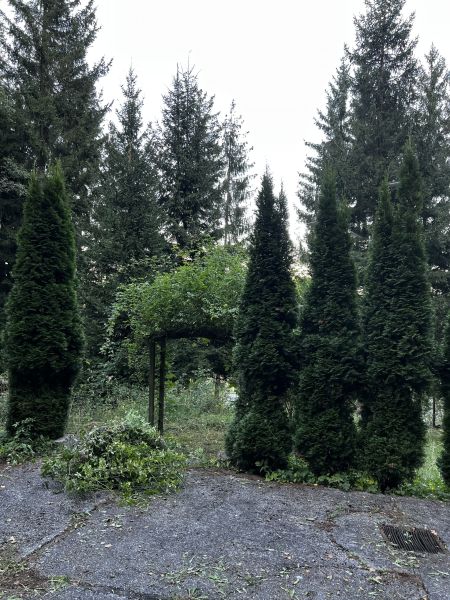Villa Awart mit 7 Zimmern, Garten, Balkon, Terrasse uvm. fr 490.000,00 ? in nhe Aspang-Markt /  / 2870 Aspang Markt / Bild 2