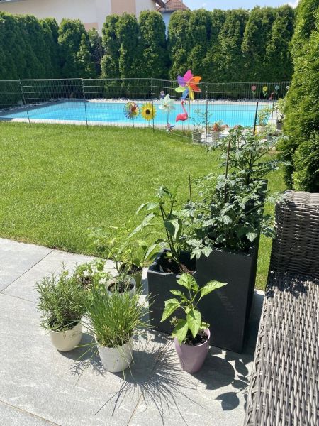 coming soon !!!!! /  / 2482&nbsp;M�nchendorf / Bild 7