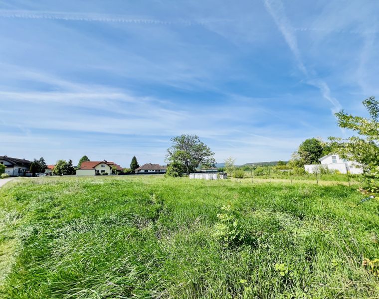 Baugrundstck in guter Lage /  / 2751 Steinabrckl / Bild 1