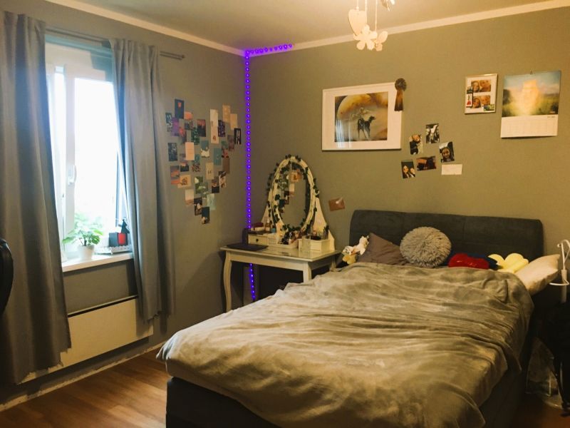 3-Zimmer-Wohnung beim Schosspark! /  / 2486 Pottendorf / Bild 5