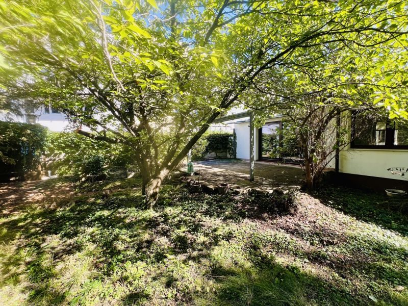 Mehrfamilienhaus mit Garten /  / 2522 Oberwaltersdorf / Bild 8