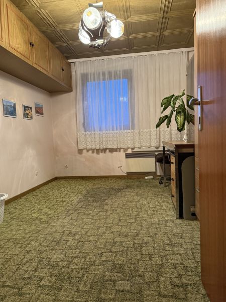 toller Garten, nettes Haus / / 2601 Eggendorf / Bild 8