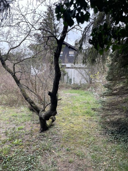 Super Grundstck mit tollem Blick! /  / 2345 Brunn am Gebirge / Bild 14