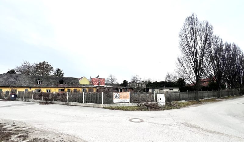 Groes Grundstck mit vielen Mglichkeiten /  / 2523 Tattendorf / Bild 2