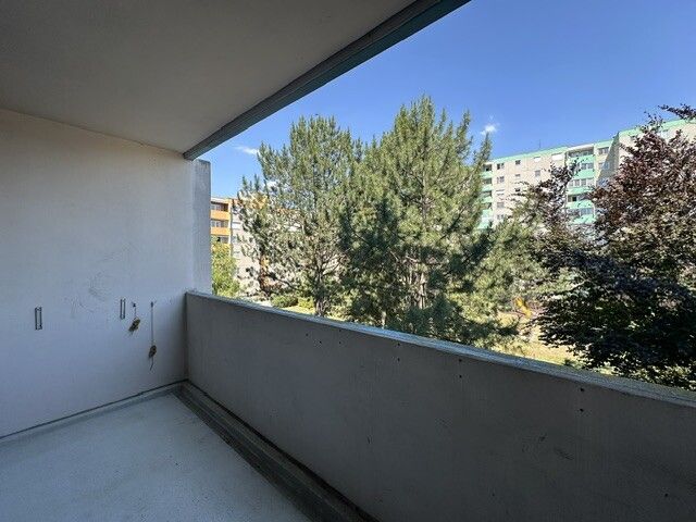 3 Zimmer Wohnung plus Loggia und Lift / / 2500 Baden / Bild 8