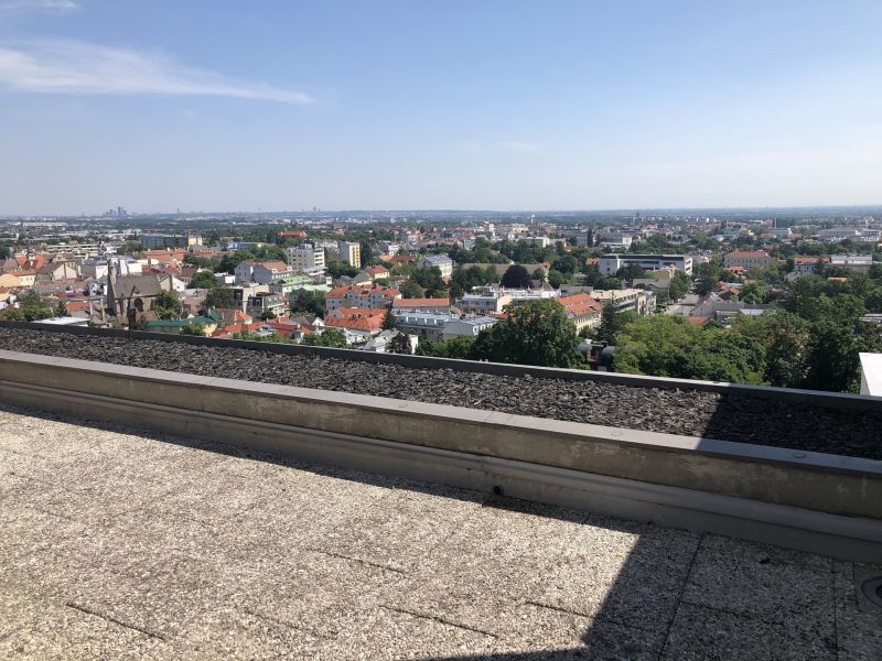 ÜBER DEN DÄCHERN VON MÖDLING!