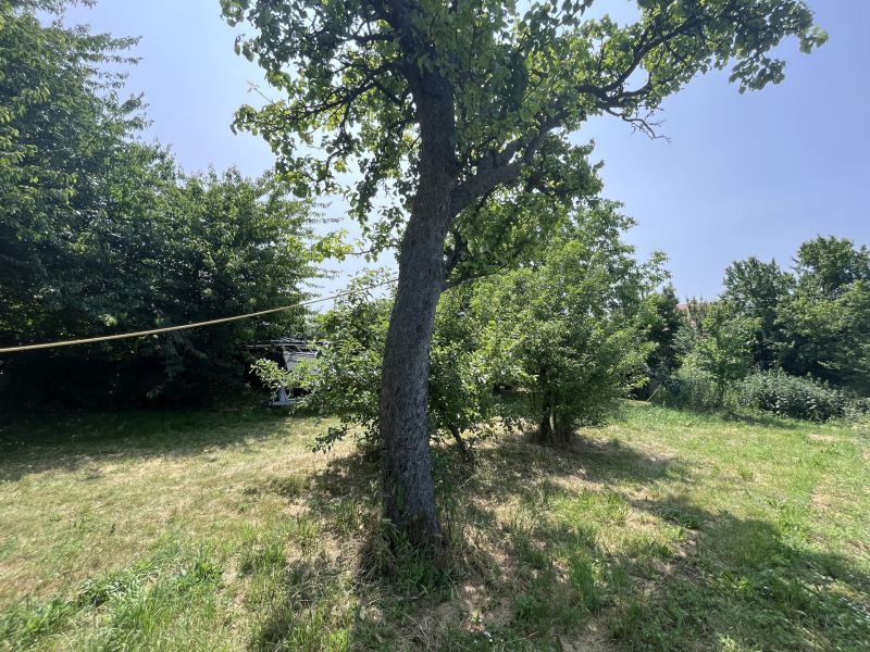 Grundstck mit Altbestand /  / 2413 Edelstal / Bild 5