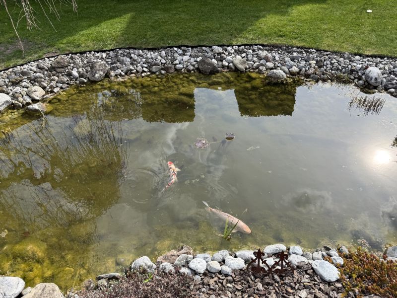 super Lage, tolles Haus /  / 2511&nbsp;Pfaffst�tten / Bild 4