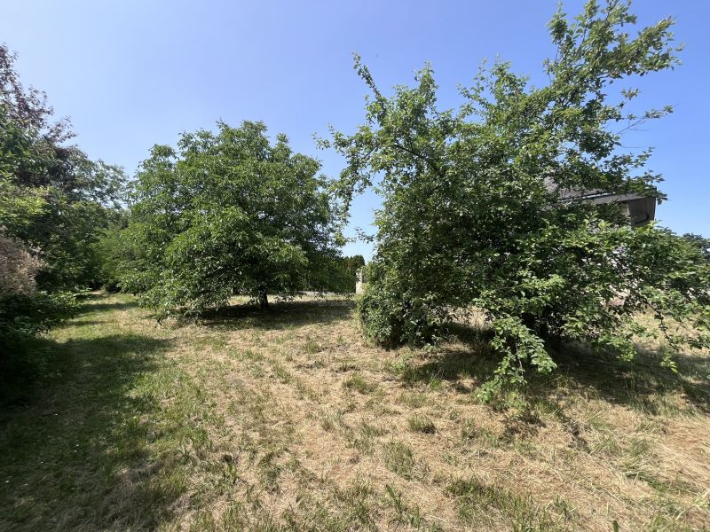 Grundstck mit Altbestand /  / 2413 Edelstal / Bild 15