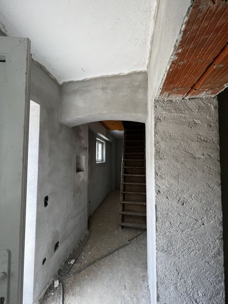 Ruhe, Sonne, Leben! /  / 7532 Litzelsdorf / Bild 8
