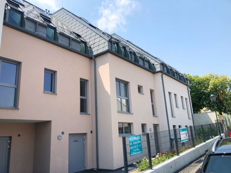 Grozgiges Wohnen mit 5 Zimmer auf 174 m2 auf einer EBENE! /  / 2352 Gumpoldskirchen / Bild 4