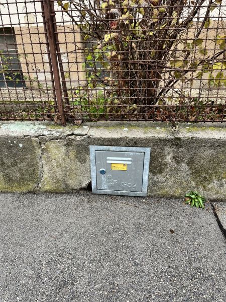 12 Zimmer Haus  mit Geschftslokal auf 948 m2 Grundstck /  / 2500 Baden / Bild 11