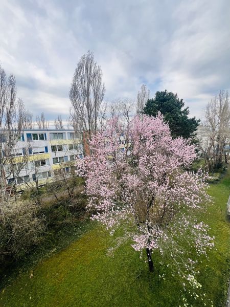  /  / 2344&nbsp;Maria Enzersdorf / Bild 9