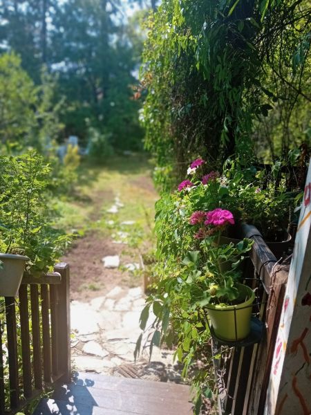 Natur pur , tolles Haus /  / 2345&nbsp;Brunn am Gebirge / Bild 5