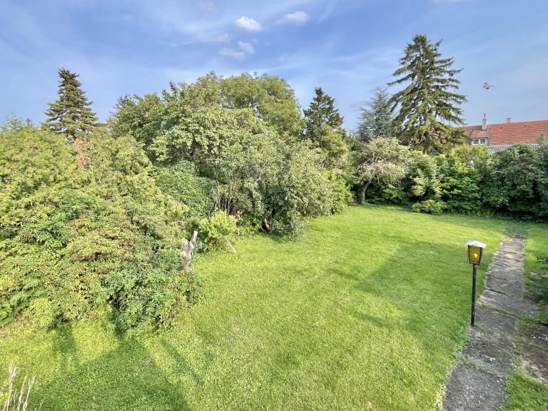 Top-Ausrichtung: Baugrundstck mit viel Potenzial! /  / 2353 Guntramsdorf / Bild 3