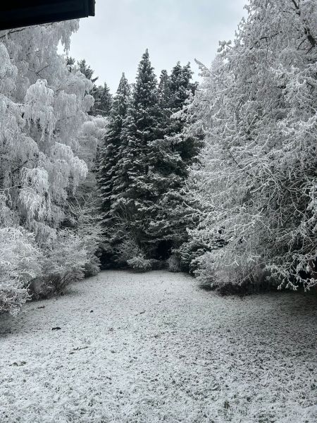 300 Meter von der MITTELSTATION STUHLECK entfernt /  / 8684&nbsp;Spital am Semmering / Bild 8