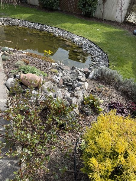 super Lage, tolles Haus /  / 2511&nbsp;Pfaffst�tten / Bild 5