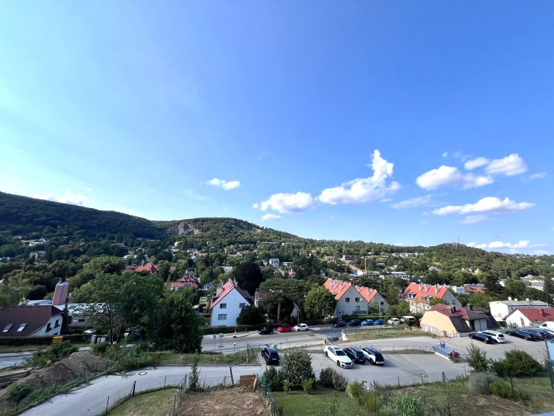 Luxurises Dachgescho-Paradies in Hinterbrhl, 130m Garten und 100m Dachterasse /  / 2371 Hinterbrhl / Bild 8