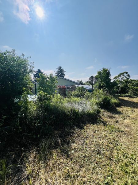 Einfamilienhaus mit viel Platz und Garten /  / 2551 Enzesfeld-Lindabrunn / Enzesfe / Bild 6