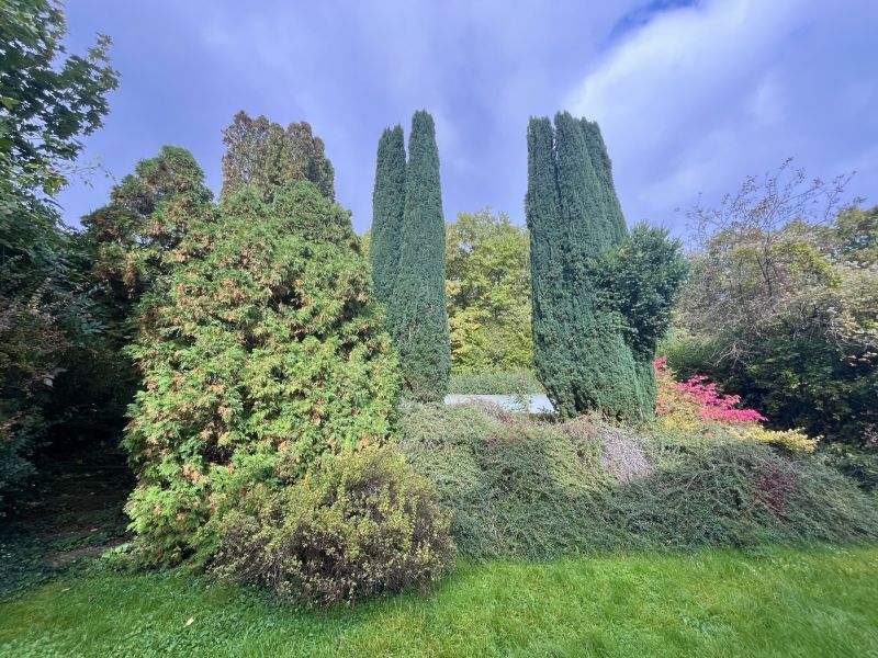 Gepflegtes Einfamilienhaus in absoluter Ruhelage /  / 2384 Breitenfurt bei Wien / Bild 3
