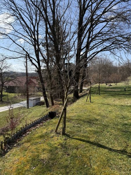 Dort wohnen, wo andere Urlaub machen /  / 7423&nbsp;Wiesfleck / Bild 16