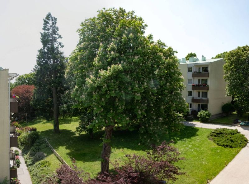3-Zimmer-Wohnung + 2 Balkone Eigentumshit um nur 291.000 ? /  / 2372 Giehbl / Bild 1