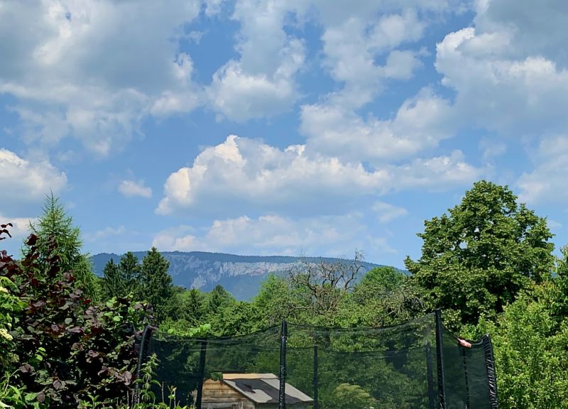 Vielseitig nutzbare Liegenschaft mit ausreichend Platz und herrlichem Blick auf die Hohe Wand /  / 2732 Wrflach / Bild 6