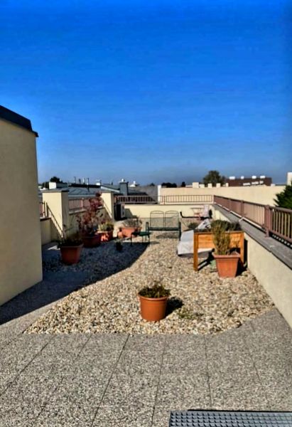 Bestlage-Top 2-Zimmerwohnung inkl. Terrasse, Klimaanlage und Fubodenheizung /  / 2340 Mdling / Bild 5