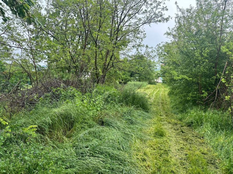 Grundstck mit Altbestand /  / 2413 Edelstal / Bild 6