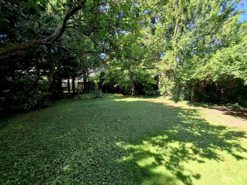 Tolle Liegenschaft - Raum fr Visionen /  / 2500 Baden / Bild 16