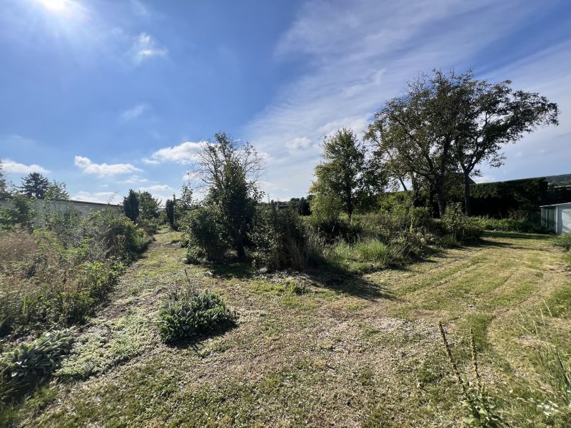 Baugrundstück Nr.1 in toller Lage /  / 2551 Enzesfeld-Lindabrunn / Enzesfe / Bild 3
