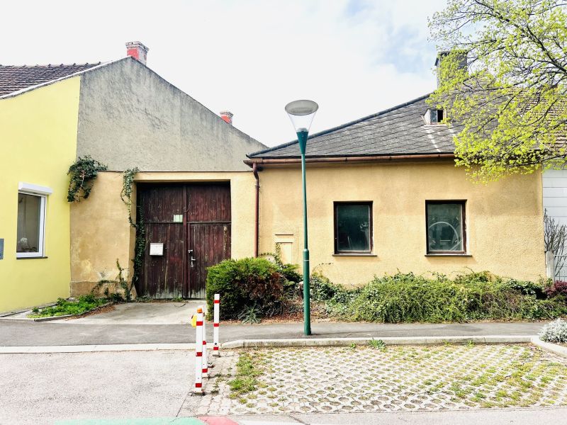 Grundstck mit Altbestand /  / 2511 Pfaffsttten / Bild 1
