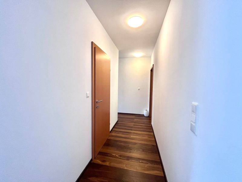Luxurises Dachgescho-Paradies in Hinterbrhl, 130m Garten und 100m Dachterasse /  / 2371 Hinterbrhl / Bild 10