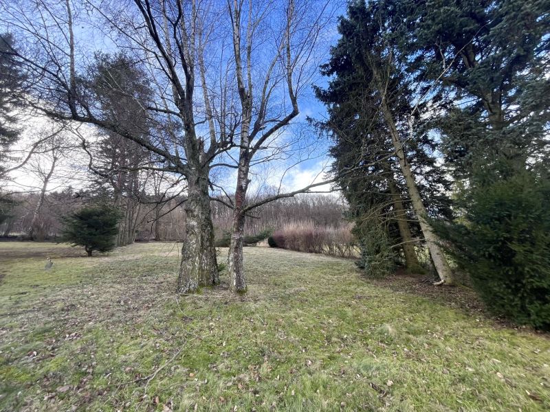 Schönes Einfamilienhaus mit Gartenparadies / / 2393 Sparbach / Bild 7