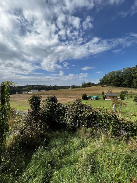 Ruhe, Sonne, Leben! /  / 7532 Litzelsdorf / Bild 4