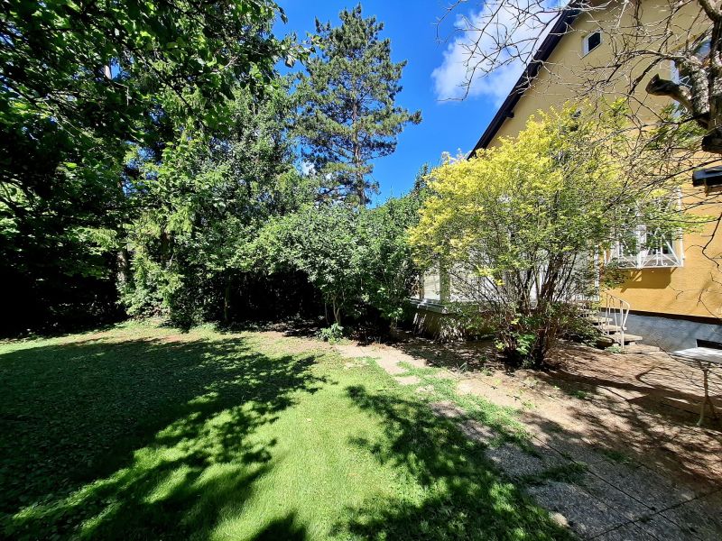 Tolle Liegenschaft - Raum fr Visionen /  / 2500 Baden / Bild 14