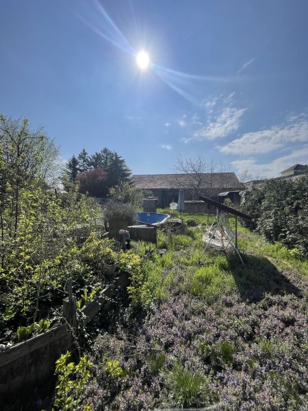 Grundstck mit Altbestand /  / 2514 Traiskirchen / Bild 5
