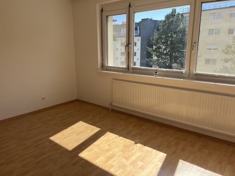 Ruhige Innenhoflage mit 90 m2 im Zentrum / / 2500 Baden / Bild 3