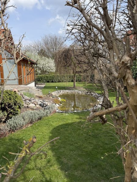 super Lage, tolles Haus /  / 2511&nbsp;Pfaffst�tten / Bild 6