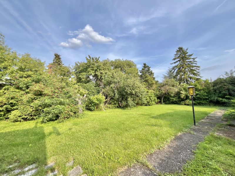 Top-Ausrichtung: Baugrundstck mit viel Potenzial! /  / 2353 Guntramsdorf / Bild 2