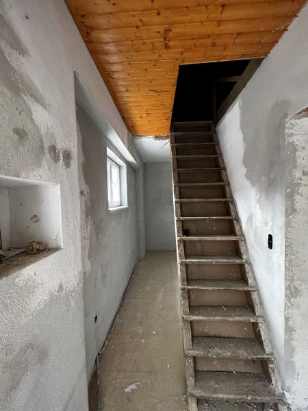 Ruhe, Sonne, Leben! /  / 7532 Litzelsdorf / Bild 5