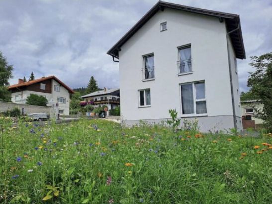 Saniertes Einfamilienhaus in Mnichkirchen: Im Sommer Mountaincartfahren, Radfahren und Wandern, im Winter Skifahren im familienfreundlichen Skigebiet. /  / 2872 Mnichkirchen / Bild 3