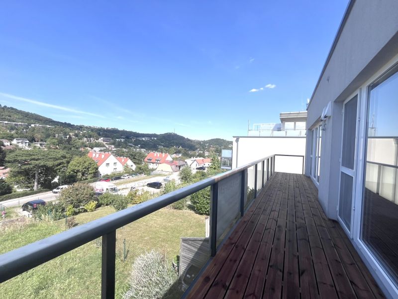 Dachterassentraum mit traumhaften Panoramablick und Eigengarten /  / 2371 Hinterbrhl / Bild 6