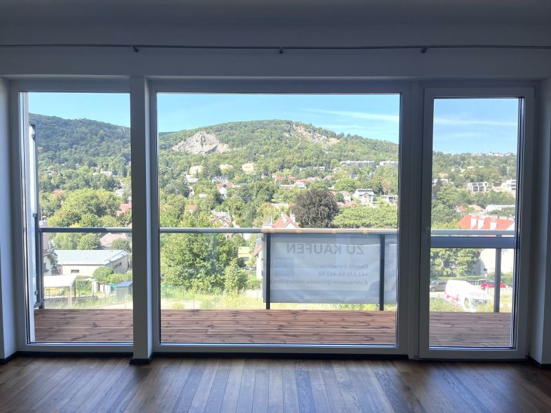 Dachterassentraum mit traumhaften Panoramablick und Eigengarten /  / 2371 Hinterbrhl / Bild 7