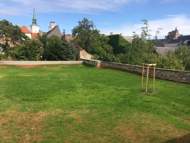 Terrassenwohnung im Herzen von Gumpoldskirchen / / 2352 Gumpoldskirchen / Bild 6